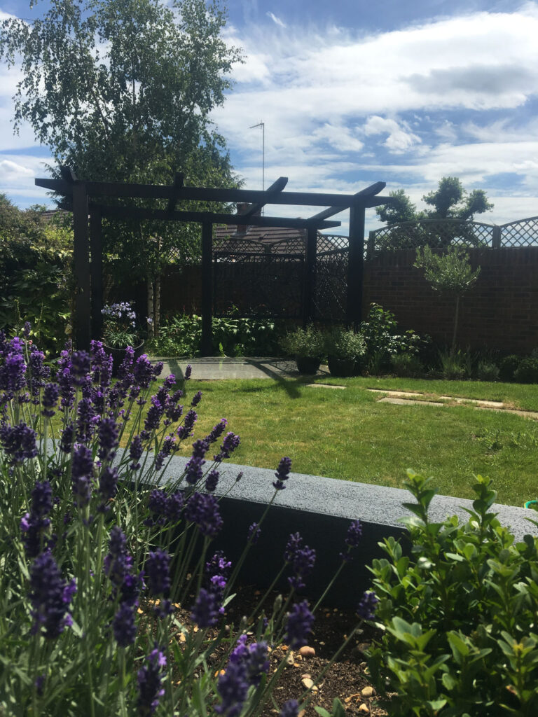 Amber's garden
